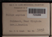 Image Associated With the Occurence